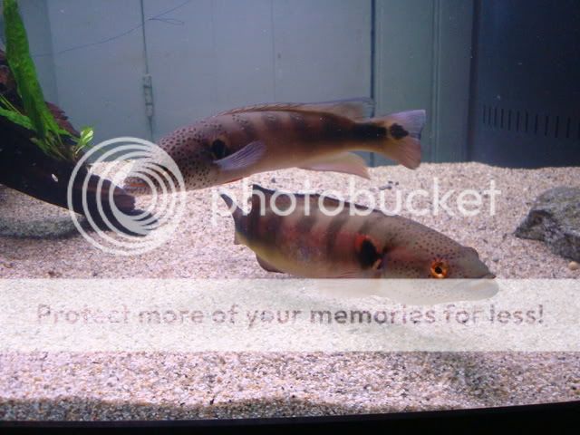 DSC03752.jpg