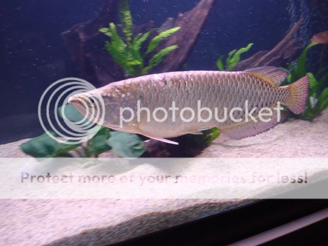 DSC04545.jpg
