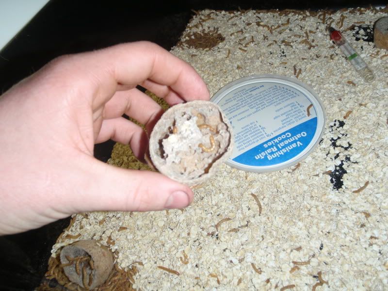 PB276455.jpg