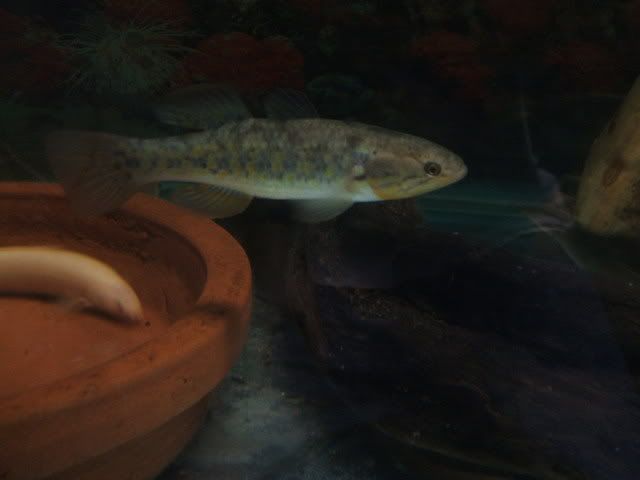 DSCF2382.jpg