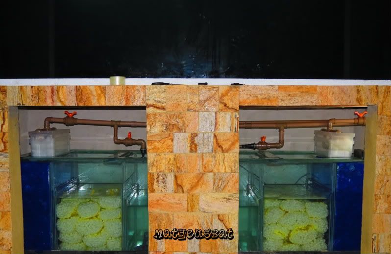 M9_aquario_31.jpg