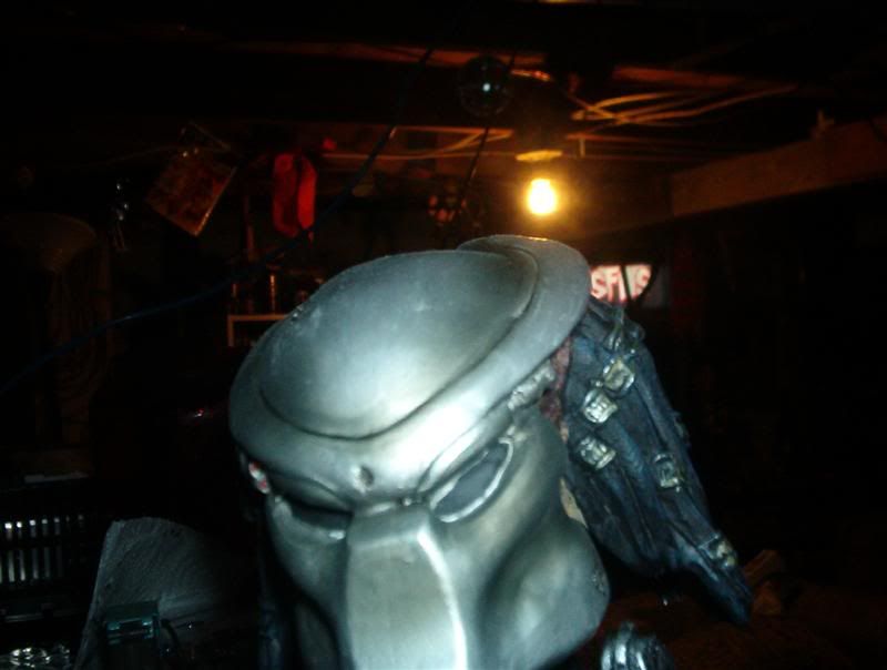 avp005Medium.jpg
