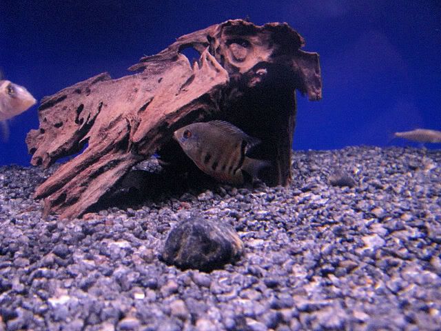 Image5.jpg