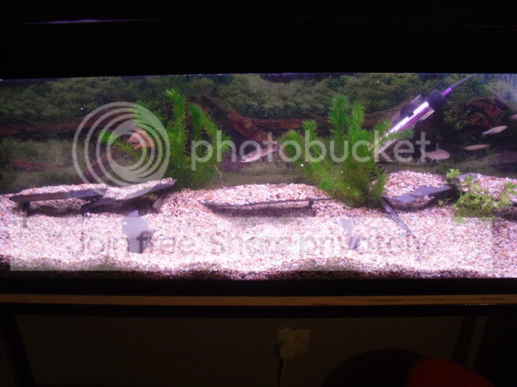 SDC10900-1.jpg