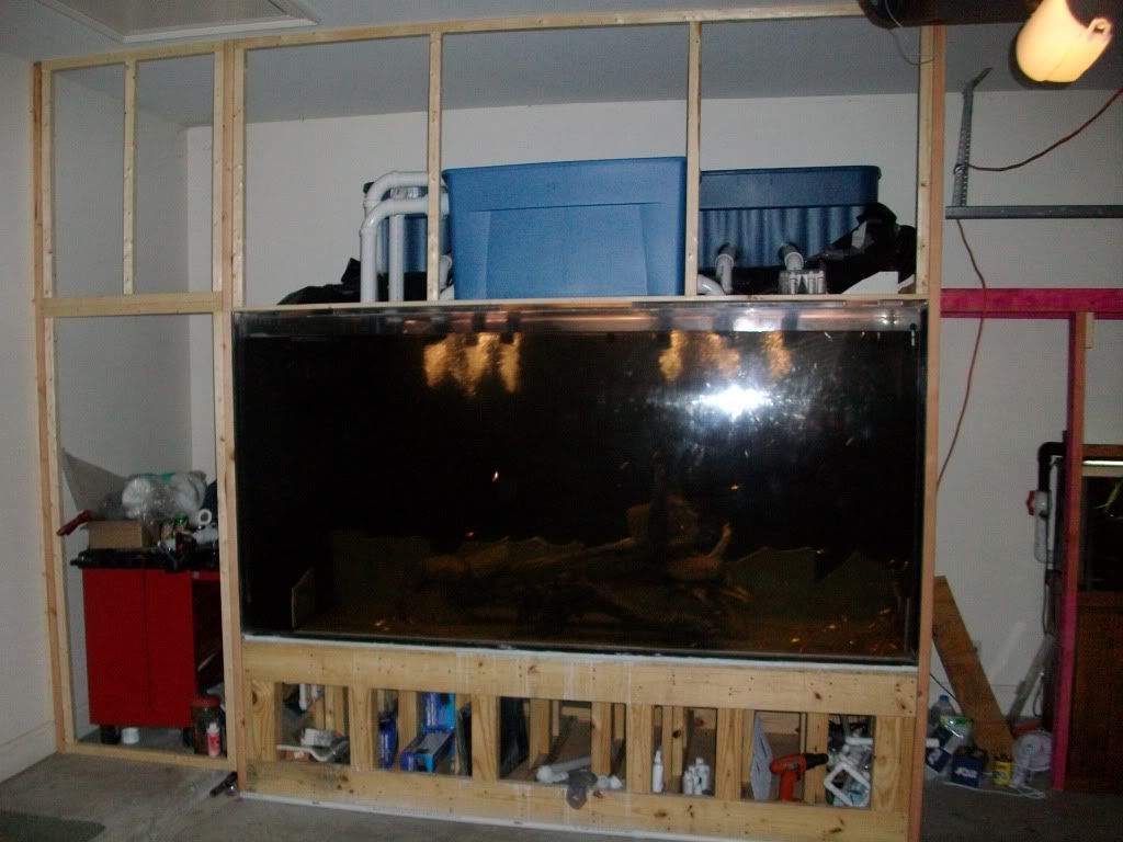 002-9.jpg
