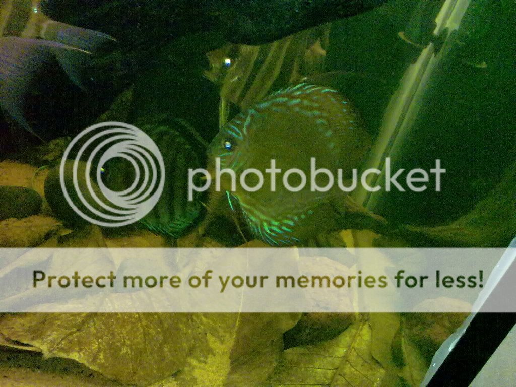11062009253.jpg