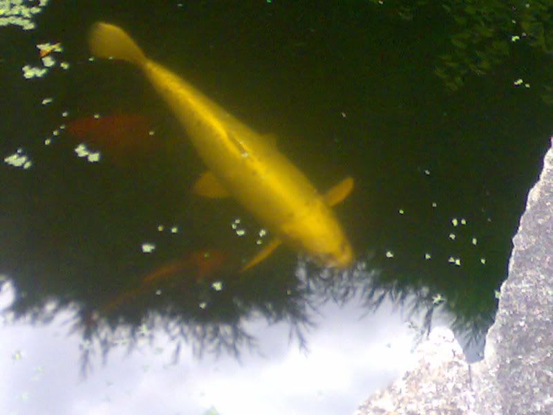 19102007204.jpg