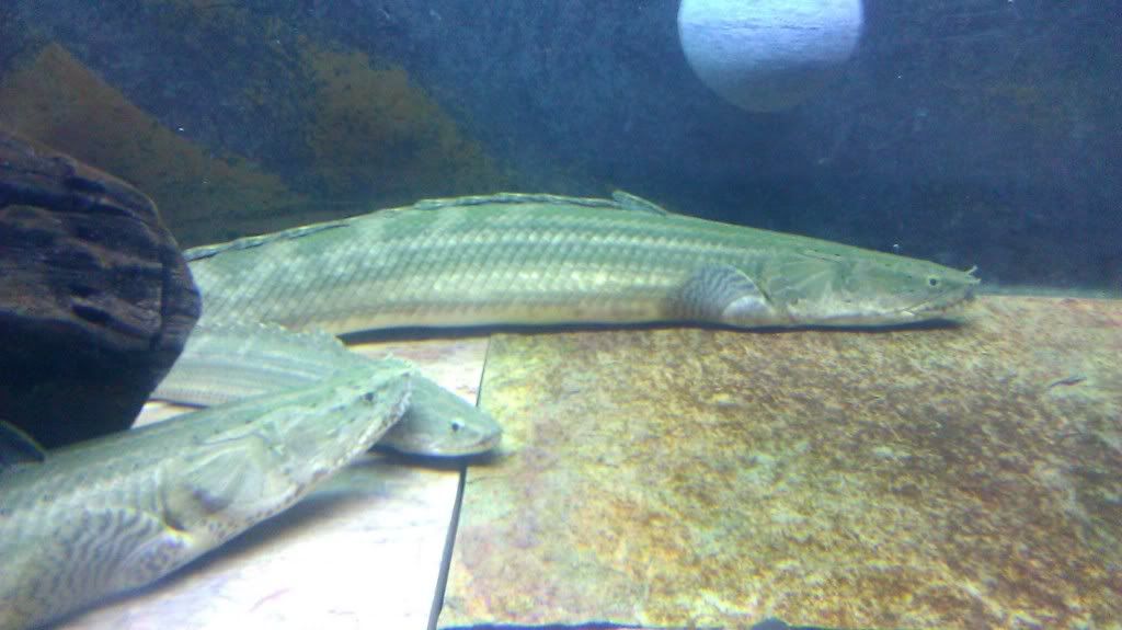 IMAG0946.jpg
