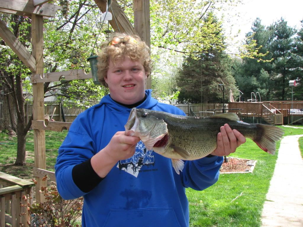 BassSpring5-17-11001.jpg