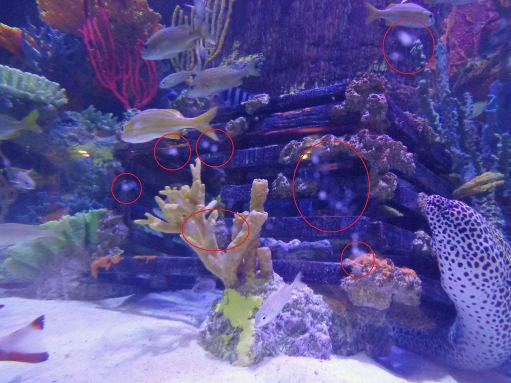 DSC01727.jpg