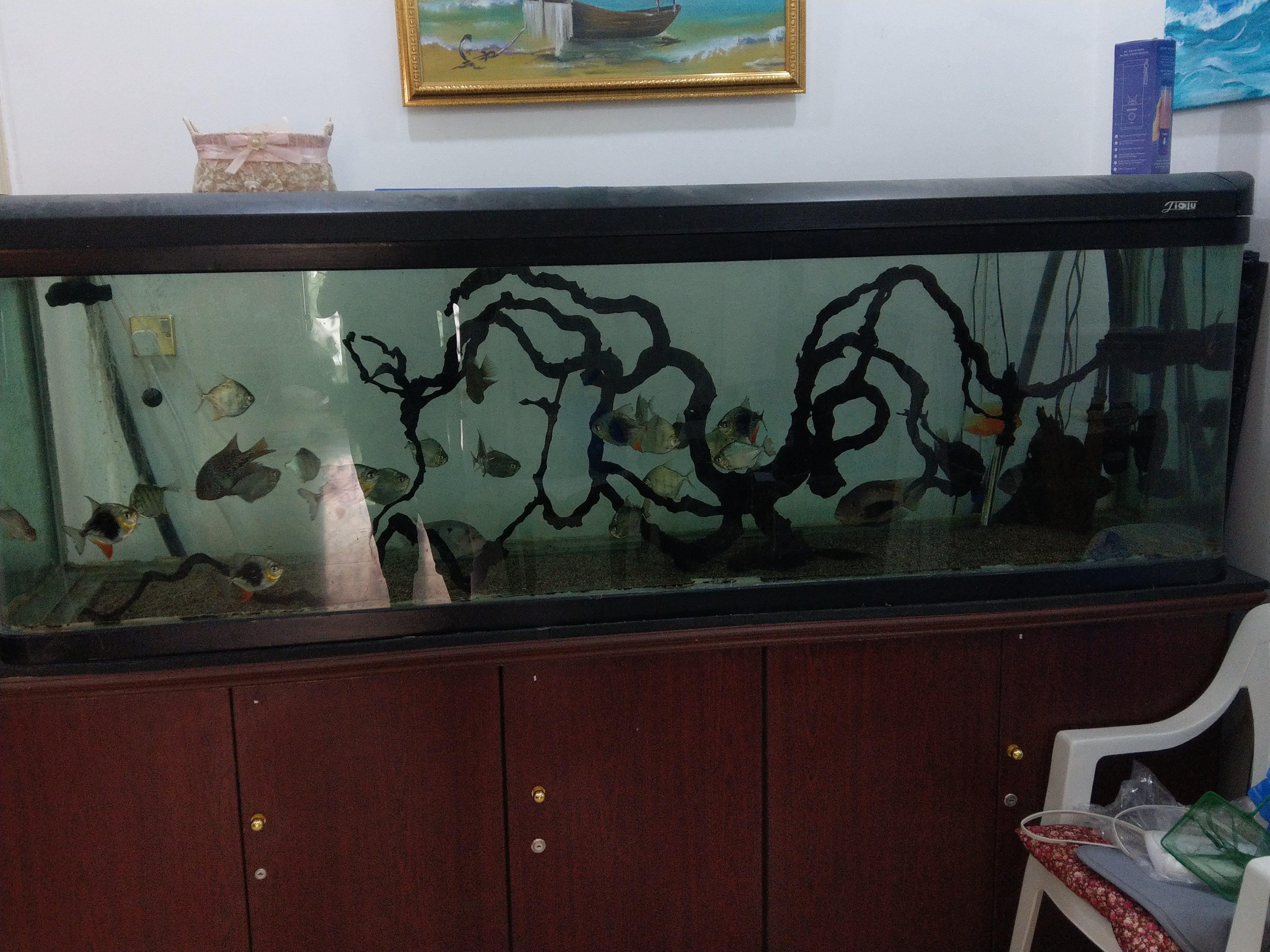 IMAG0538.jpg