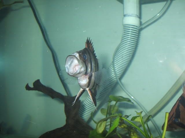 DSCF1655.jpg