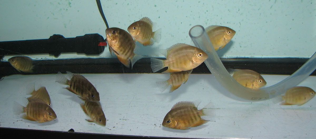 624633d8.jpg