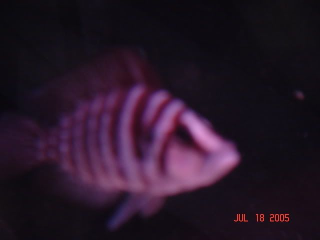 DSC01128.jpg