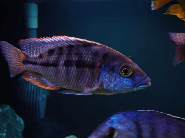 DSC01578.jpg
