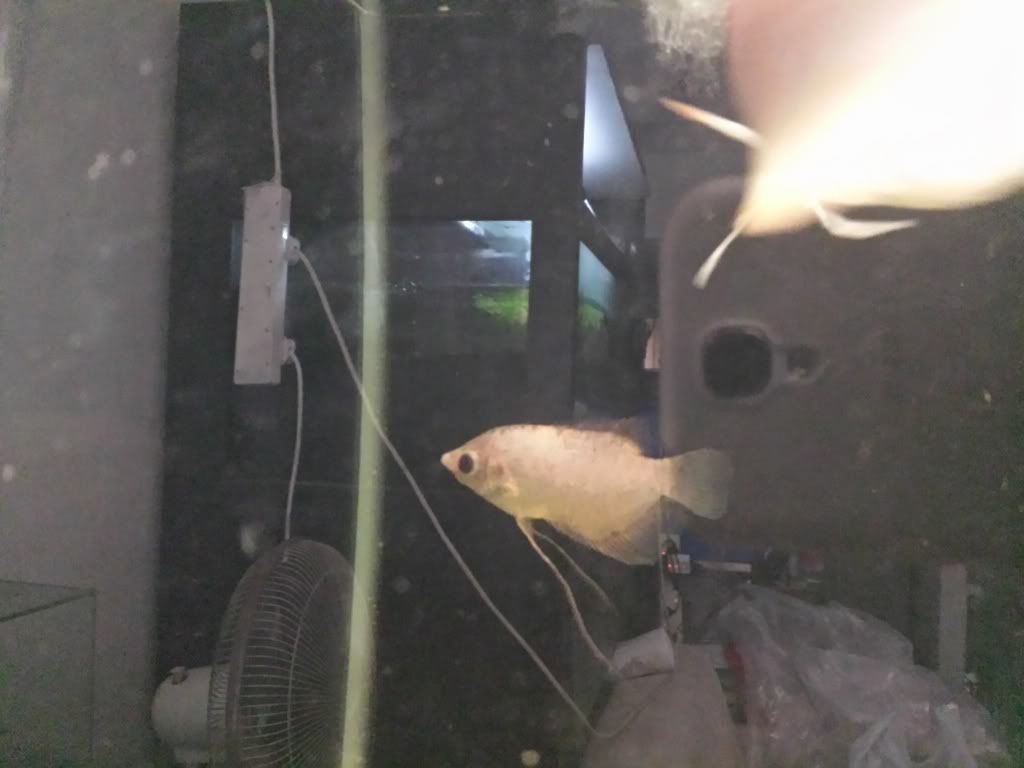 20131103_134908.jpg
