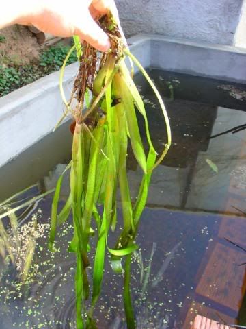 DSC09140.jpg