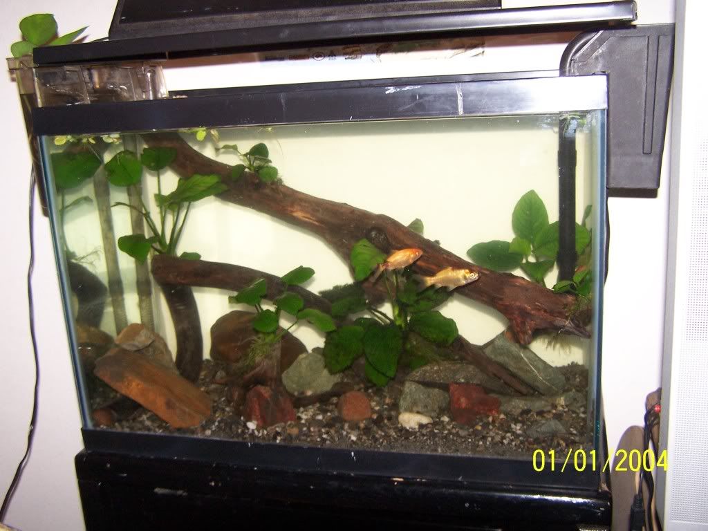 Picture271.jpg