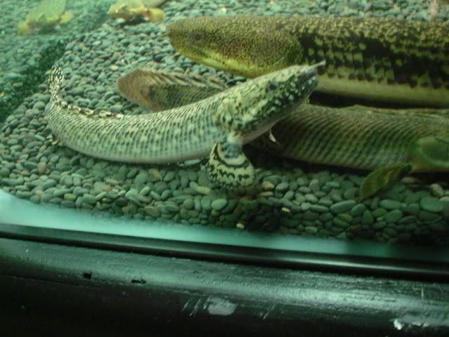 DSC09032.jpg