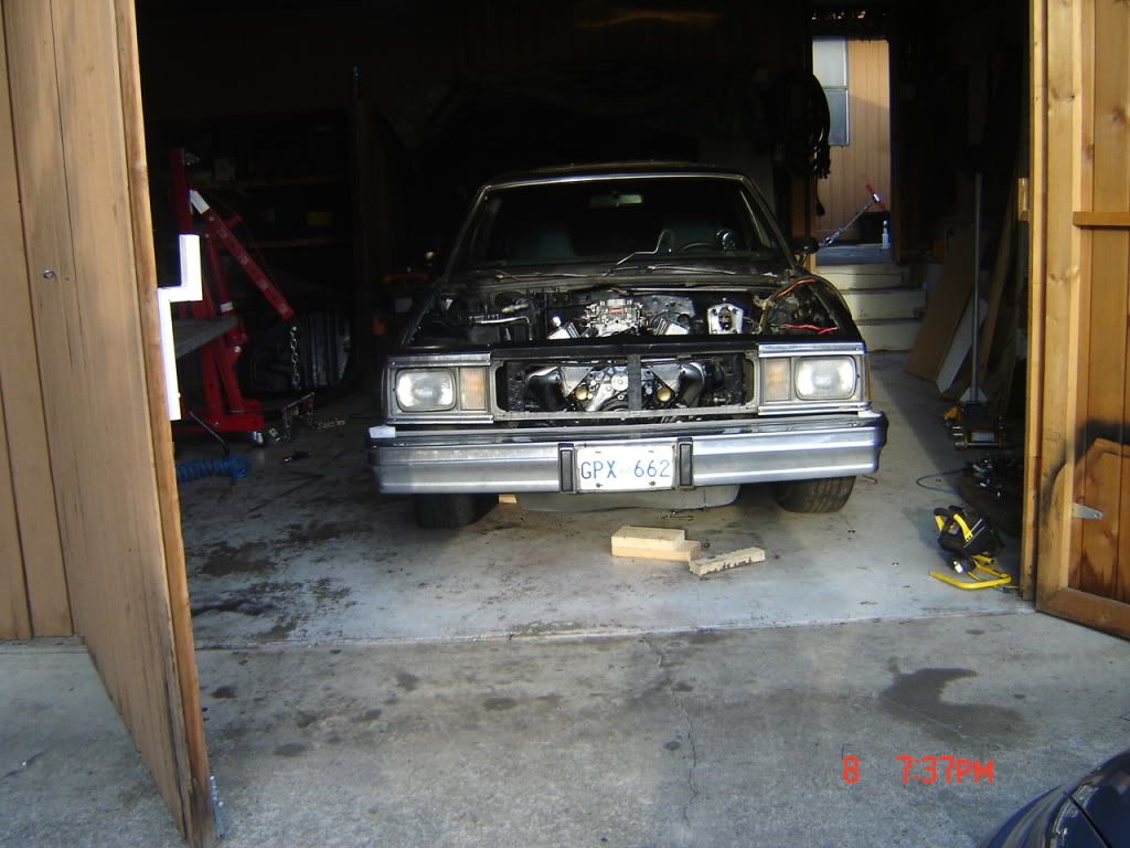 DSC02795.jpg