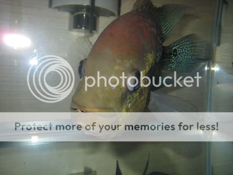 IMG_9101.jpg