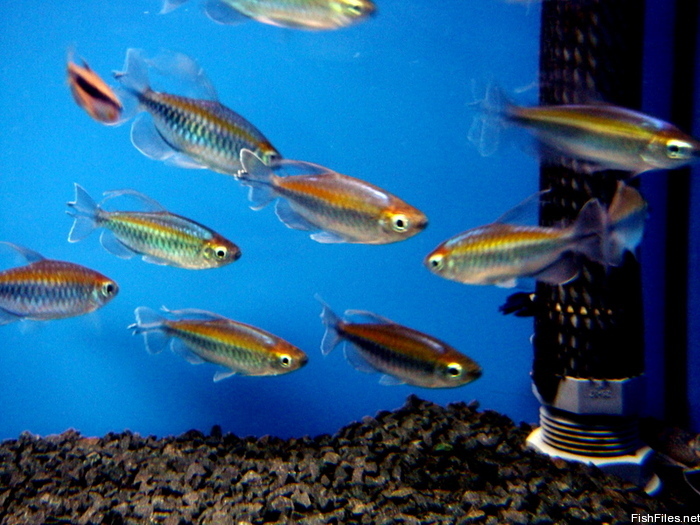 abvusdff_DSC01748.JPG