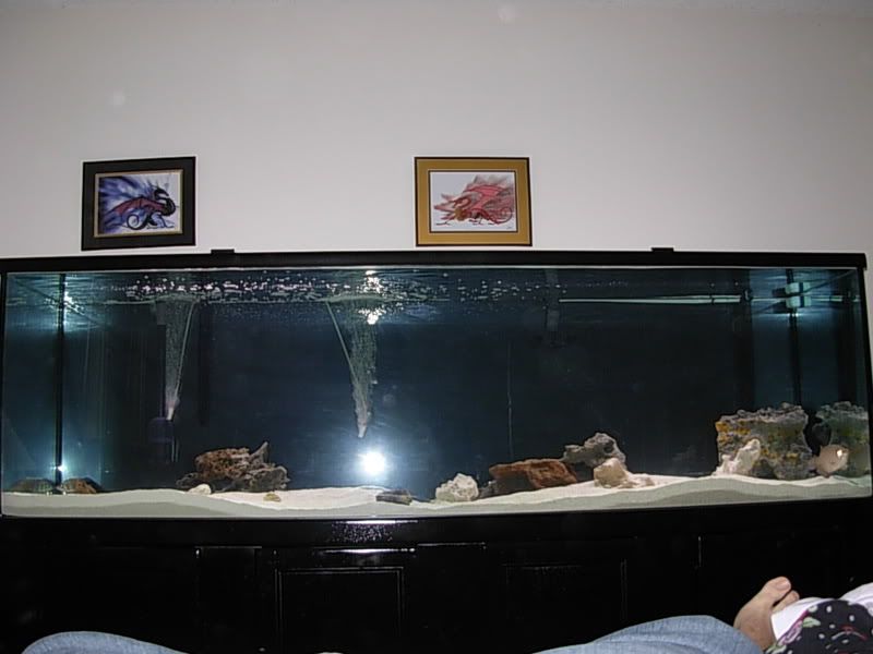 DSCN1258.jpg