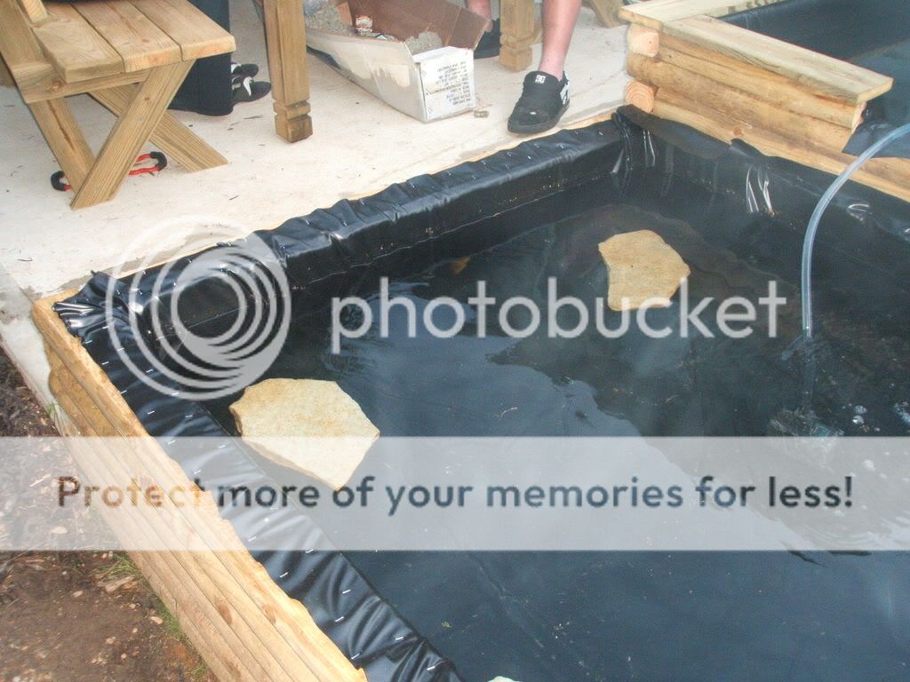 DSCF4770.jpg