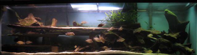 IMG_1176.jpg