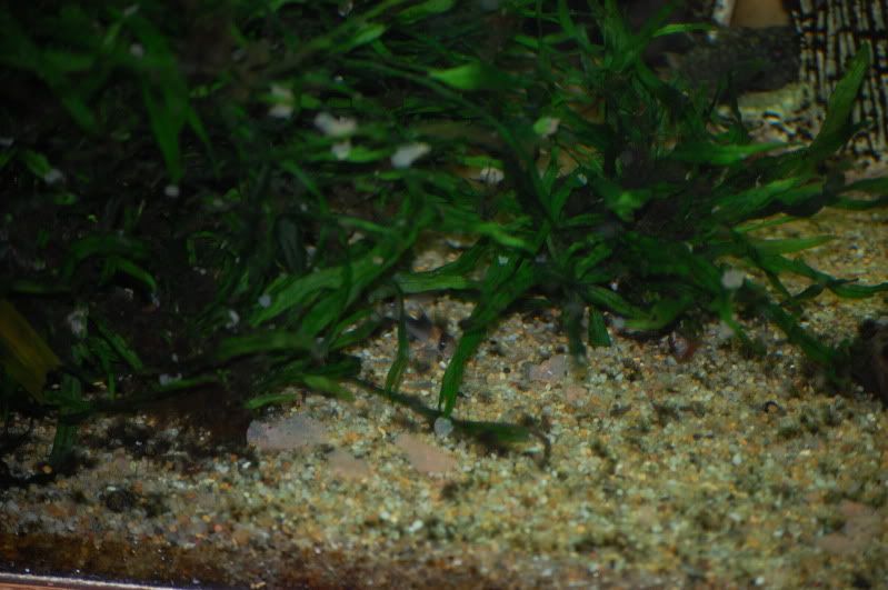 DSC_1344.jpg