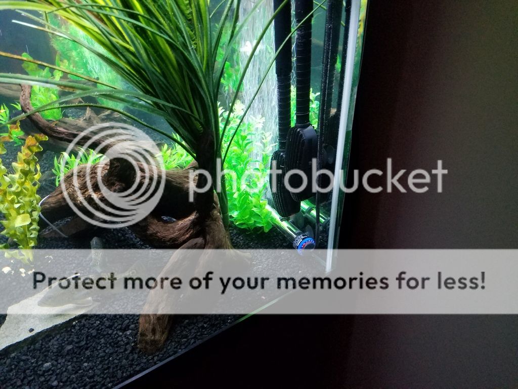 Best heater placement?