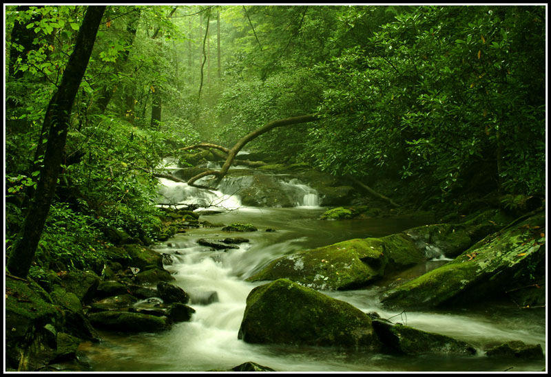 mountain-stream.jpg