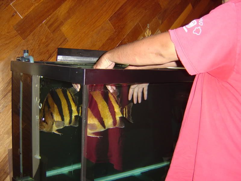 11-2-08002.jpg
