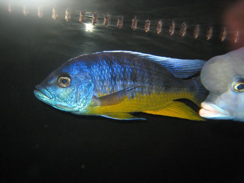 IMG_7774.jpg