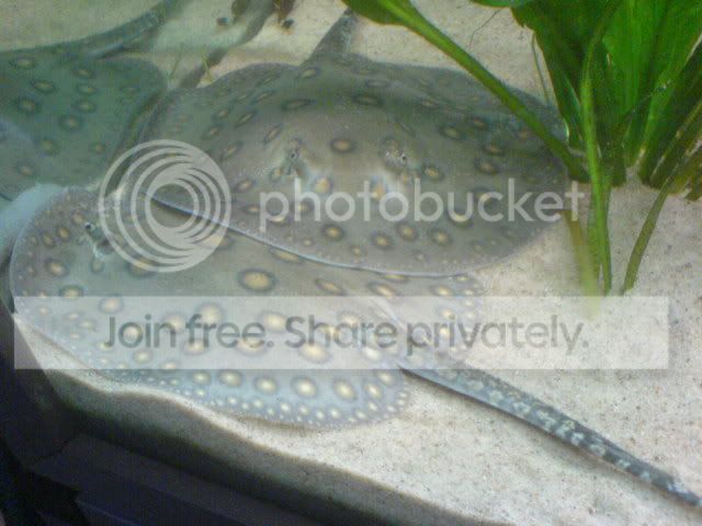 DSC01091.jpg