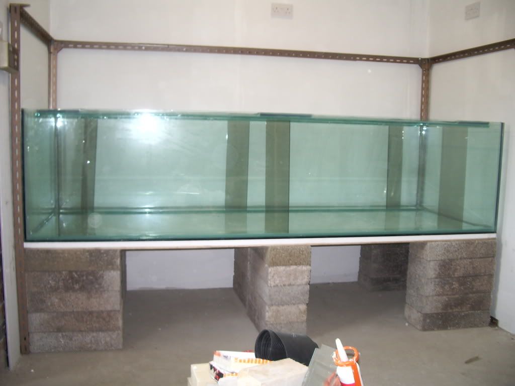 IMGP0672.jpg