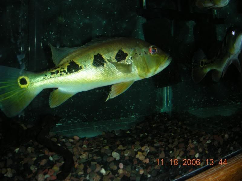 DSCN0937.jpg