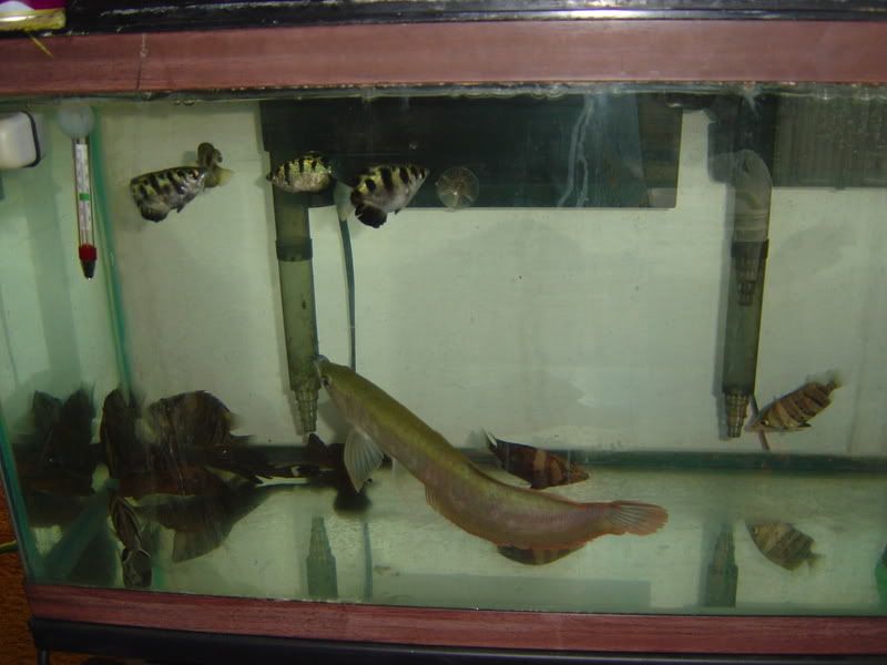 2-15-08021.jpg