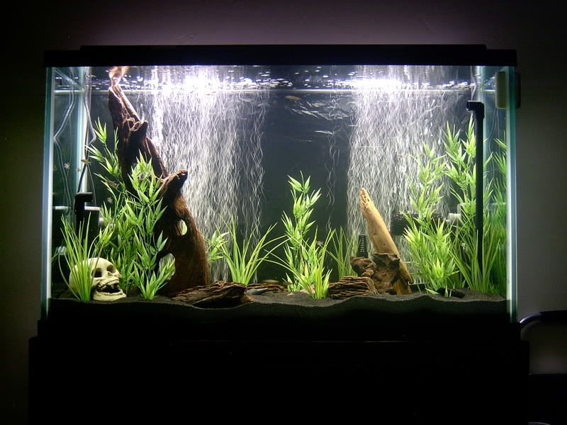 newtank005.jpg