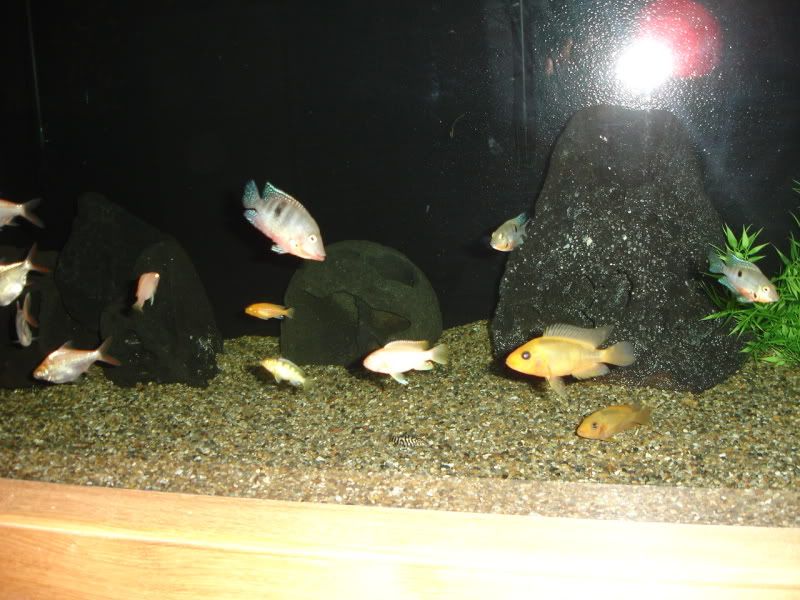 DSC02683.jpg