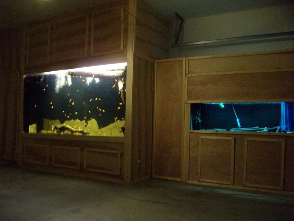 013-5.jpg