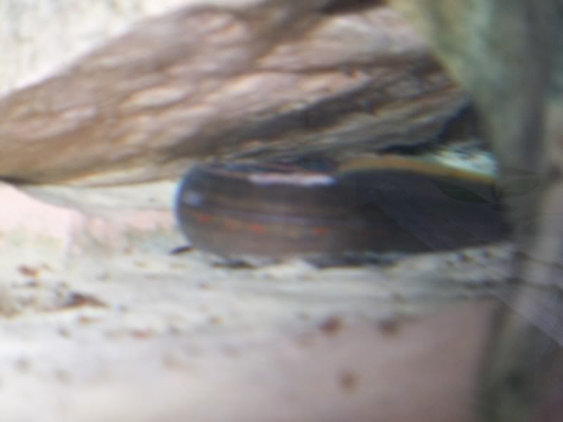 5-19-09295.jpg