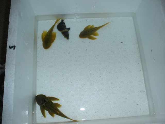 DSC00396.jpg
