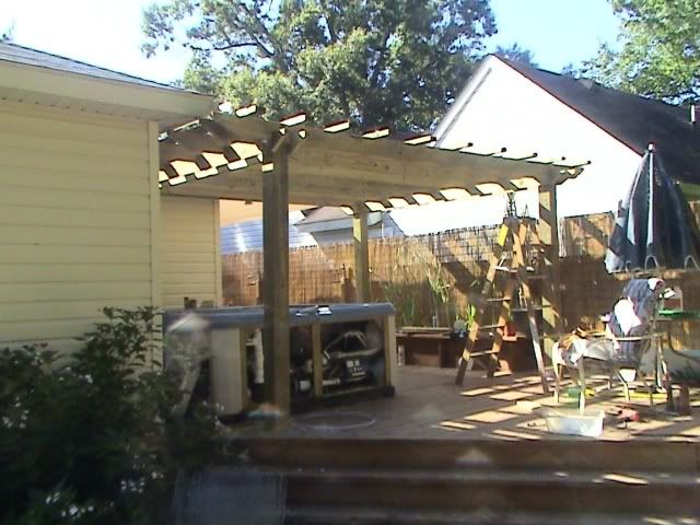 DSC00938.jpg