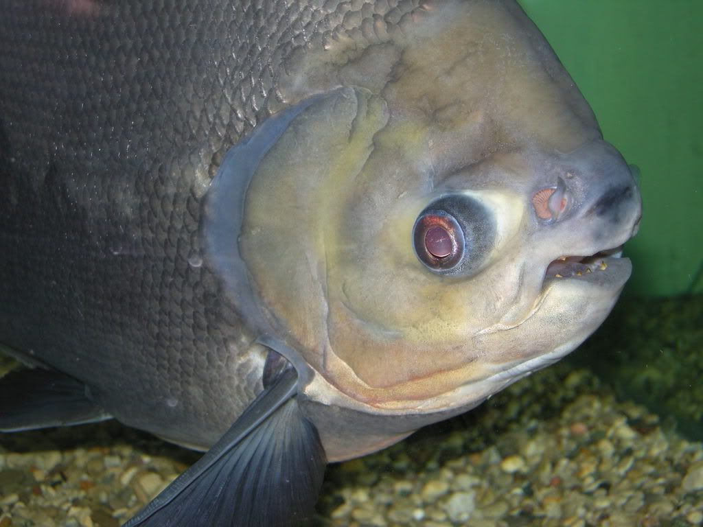 DSCN5752.jpg
