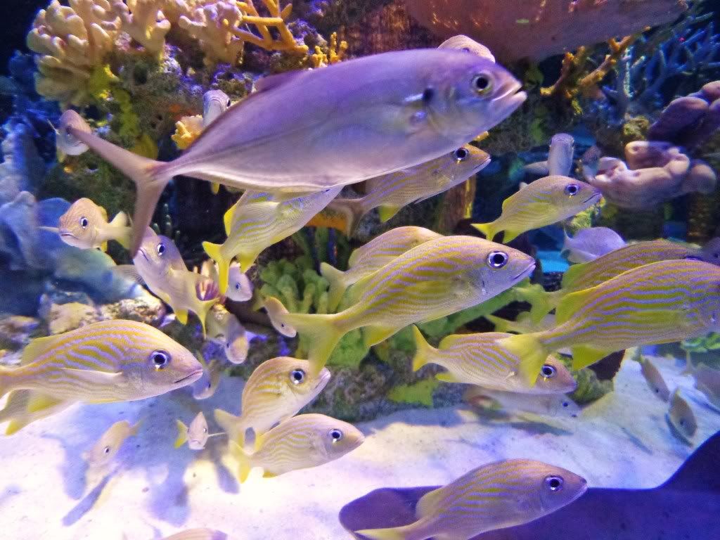 DSC02521.jpg