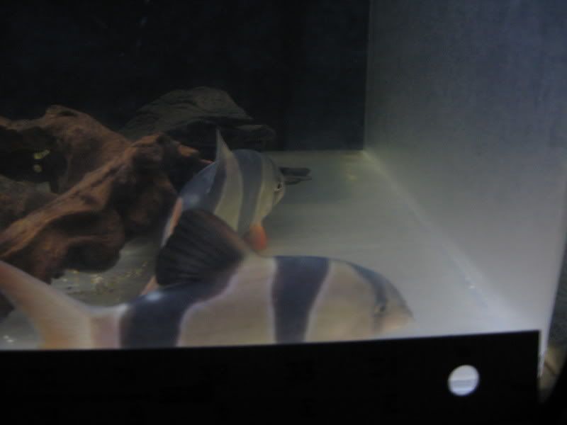 5-17-08004.jpg