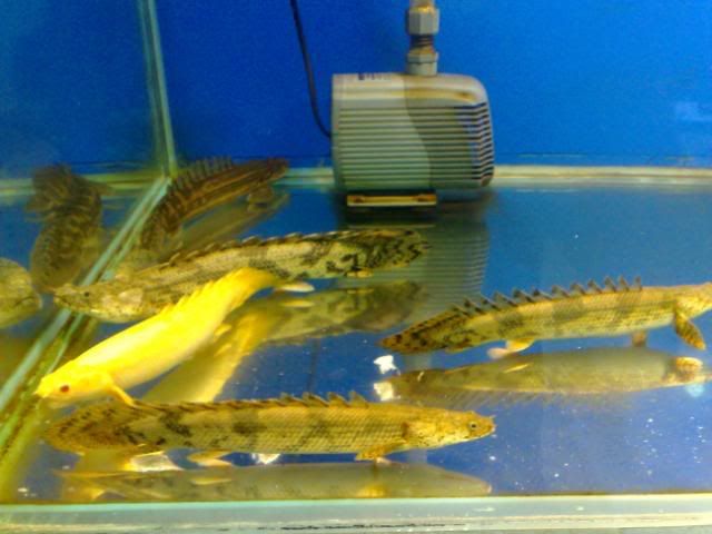 06122007799.jpg