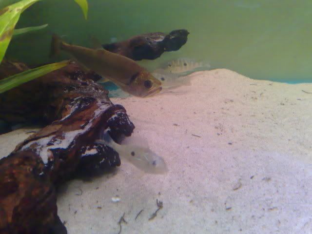 14102008597.jpg