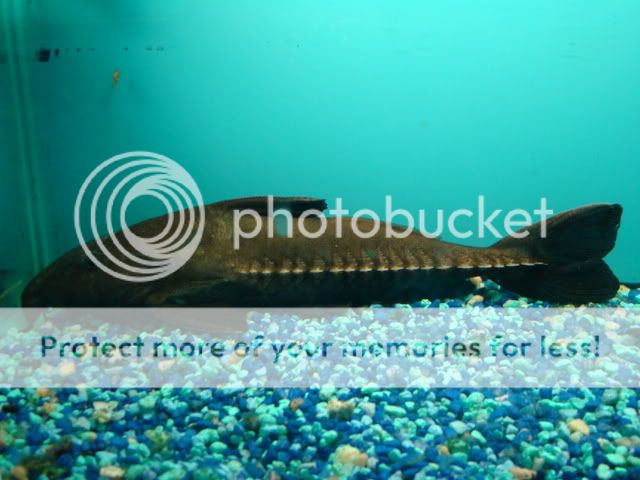 DSC05814.jpg
